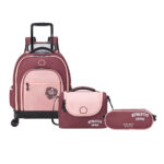 ACADEMIE 3-Piece Set 4-Wheel Vertical Trolley Backpack Bag Plum